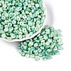 Picasso Glass Seed Beads SEED-N010-01O-1