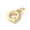 Rack Plating Brass Charms KK-P245-06G-Q-2