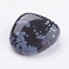 Natural Snowflake Obsidian Beads G-F517-16-2