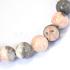 Natural Zebra Jasper Round Bead Strands X-G-E334-8mm-11-2