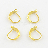 Iron Leverback Earring Findings IFIN-Q113-G-1