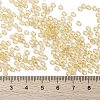 MIYUKI Round Rocailles Beads X-SEED-G008-RR0132L-4