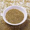 MIYUKI Delica Beads SEED-MY11-DB1832-2