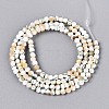 Luminous Natural Seashell Shell Beads Strands SSHEL-N040-05-2