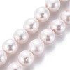 Natural Keshi Pearl Beads Strands PEAR-S020-L04-2