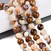 Natural Wood Lace Stone Wooden Jasper Beads Strands X-G-B128-A04-04-1