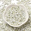 Two Tone Baking Paint Glass Seed Beads SEED-F005-01A-10-2