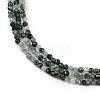 Natural Moss Agate Beads Strands X-G-A129-3mm-01-5