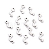 Non-Tarnish 304 Stainless Steel Pendants STAS-F267-10Z-P-1