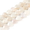 Natural Rainbow Moonstone Beads Strands G-G118-A01-01-2