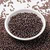 MIYUKI Round Rocailles Beads X-SEED-G008-RR3735-2