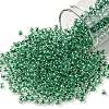 TOHO 8/0 Round Beads SEED-XTR08-0343-1