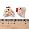 Handmade Lampwork Beads LAMP-T023-16I-4