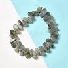 Natural Labradorite Beads Strands G-B064-B62-2