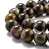 Round Natural Ocean Agate/Ocean Jasper Beads Strands G-O199-02C-3