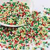 Baking Paint Glass Seed Beads X-SEED-S042-05B-51-1
