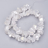 Electroplated Natural Quartz Crystal Bead Strands X-G-F336-06A-2