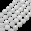 Natural Malaysia Jade Beads Strands G-L645-B01-14mm-01-1
