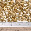 MIYUKI Delica Beads SEED-X0054-DB1681-4