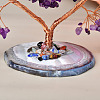 Natural Agate & Amethyst Tree of Life Display Decorations PW-WG77723-01-4
