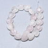 Natural Rose Quartz Beads Strands X-G-S357-E01-07-2