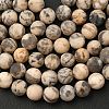 Natural Feldspar Bead Strands G-P295-06-8mm-3