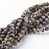 Natural Dalmatian Jasper Bead Strands G-R345-6mm-51-2