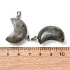 Natural Labradorite Pendants G-F820-02C-01-2