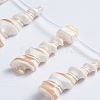 Natural Trochid Shell/Trochus Shell Beads Strands SSHEL-L016-15-3