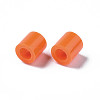 PE Fuse Beads X-DIY-R013-77-3