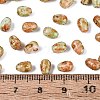 Picasso Glass Seed Beads SEED-N012-10D-4