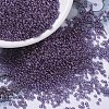 MIYUKI Round Rocailles Beads X-SEED-G007-RR1884-1