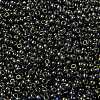 MIYUKI Round Rocailles Beads X-SEED-G008-RR2447-3