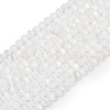 Natural Selenite Beads Strands G-F805-01-2