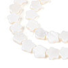 Natural Freshwater Shell Beads Strands SHEL-N027-02-01-2