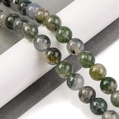 Natural Moss Agate Beads Strands G-J358-01-10MM-1