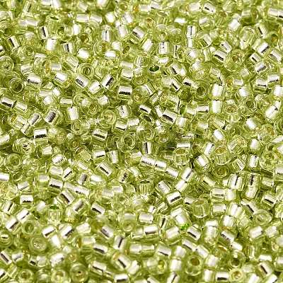 Glass Seed Beads X-SEED-S042-04B-24-1