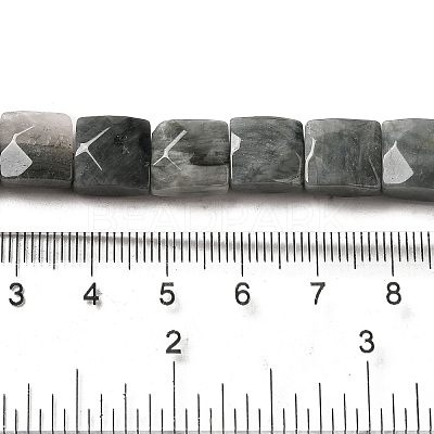 Natural Eagle Eye Stone Beads Strands G-C109-A15-02-1