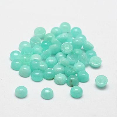 Dome/Half Round Natural Amazonite Cabochons G-O146-02A-1