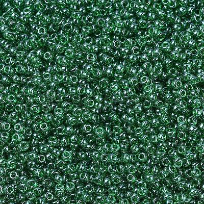 MIYUKI Round Rocailles Beads X-SEED-G007-RR0173-1