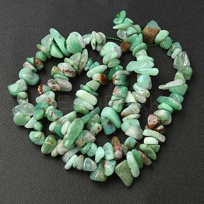 Natural Chrysoprase Beads Strands G-G0004-D01-A-1