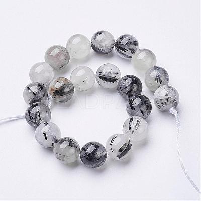 Natural Black Rutilated Quartz Beads Strands G-D295-10mm-1