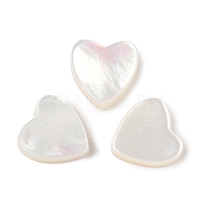 Natural White Shell Beads SSHEL-I026-09-1
