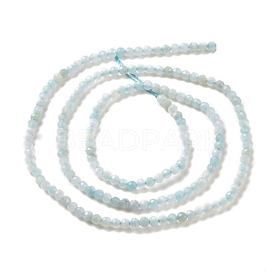 Natural Amazonite Beads Strands G-E351-10A-1