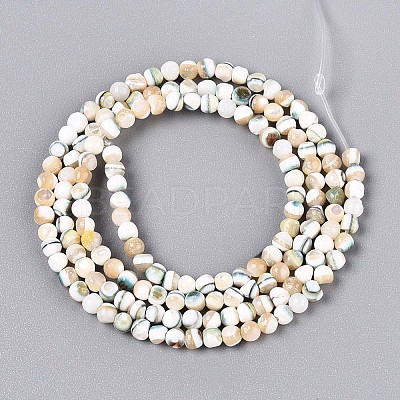 Luminous Natural Seashell Shell Beads Strands SSHEL-N040-05-1