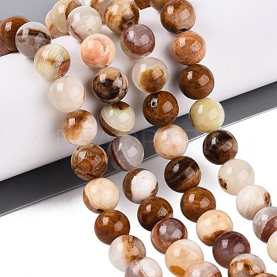 Natural Wood Lace Stone Wooden Jasper Beads Strands X-G-B128-A04-04-1
