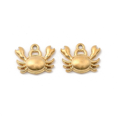 304 Stainless Steel Charms STAS-G358-08G-03-1