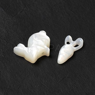 Natural Freshwater Shell Beads Sets BSHE-E026-10-1