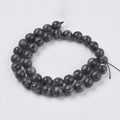 Natural Larvikite Beads Strands X-G-G542-10mm-27-1