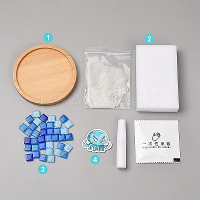 DIY Mosaic Coaster Making Kit TH-CBAB785-01I-1